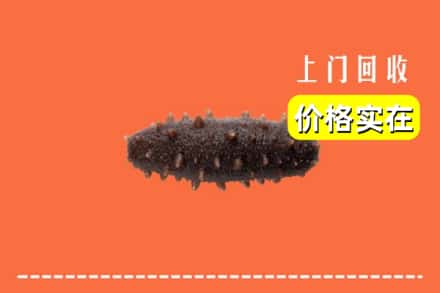楚雄武定县回收海参