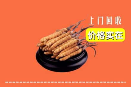 楚雄武定县回收冬虫夏草