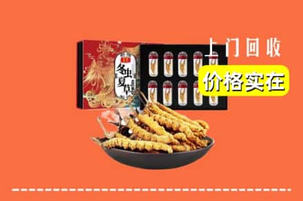 楚雄武定县回收虫草