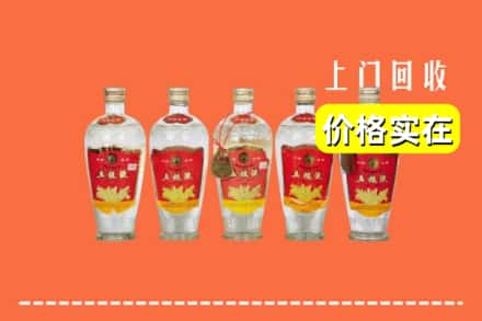楚雄武定县回收老五粮液